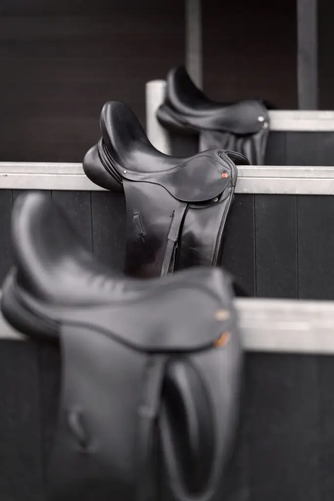 Celine van Waes zadelmaker reparatie zevenbergen